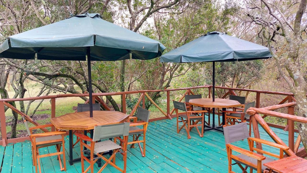 Greenwood Safari Camp Talek Екстер'єр фото