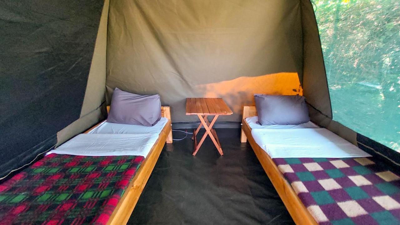 Greenwood Safari Camp Talek Екстер'єр фото