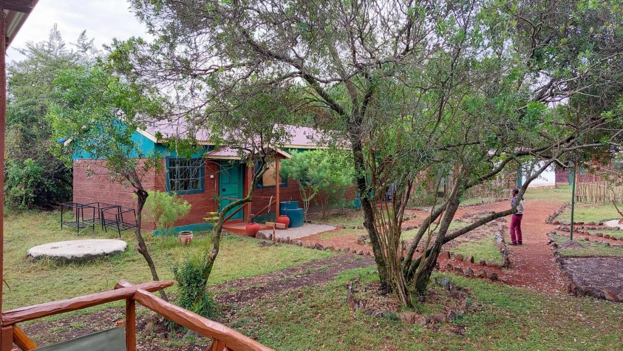 Greenwood Safari Camp Talek Екстер'єр фото