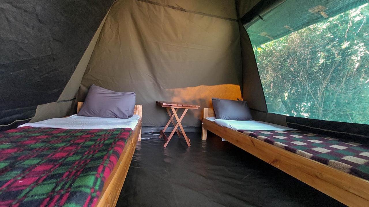 Greenwood Safari Camp Talek Екстер'єр фото