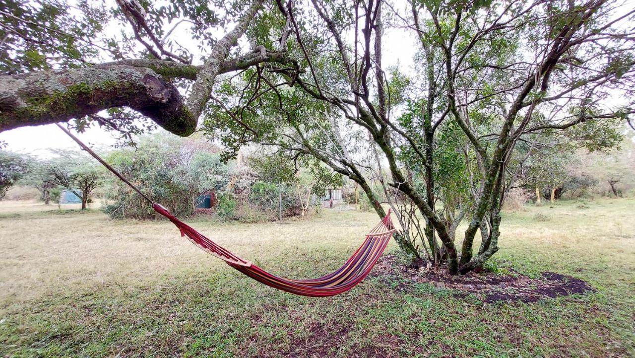 Greenwood Safari Camp Talek Екстер'єр фото