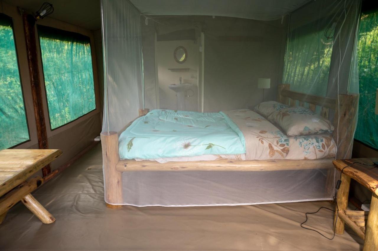 Greenwood Safari Camp Talek Екстер'єр фото