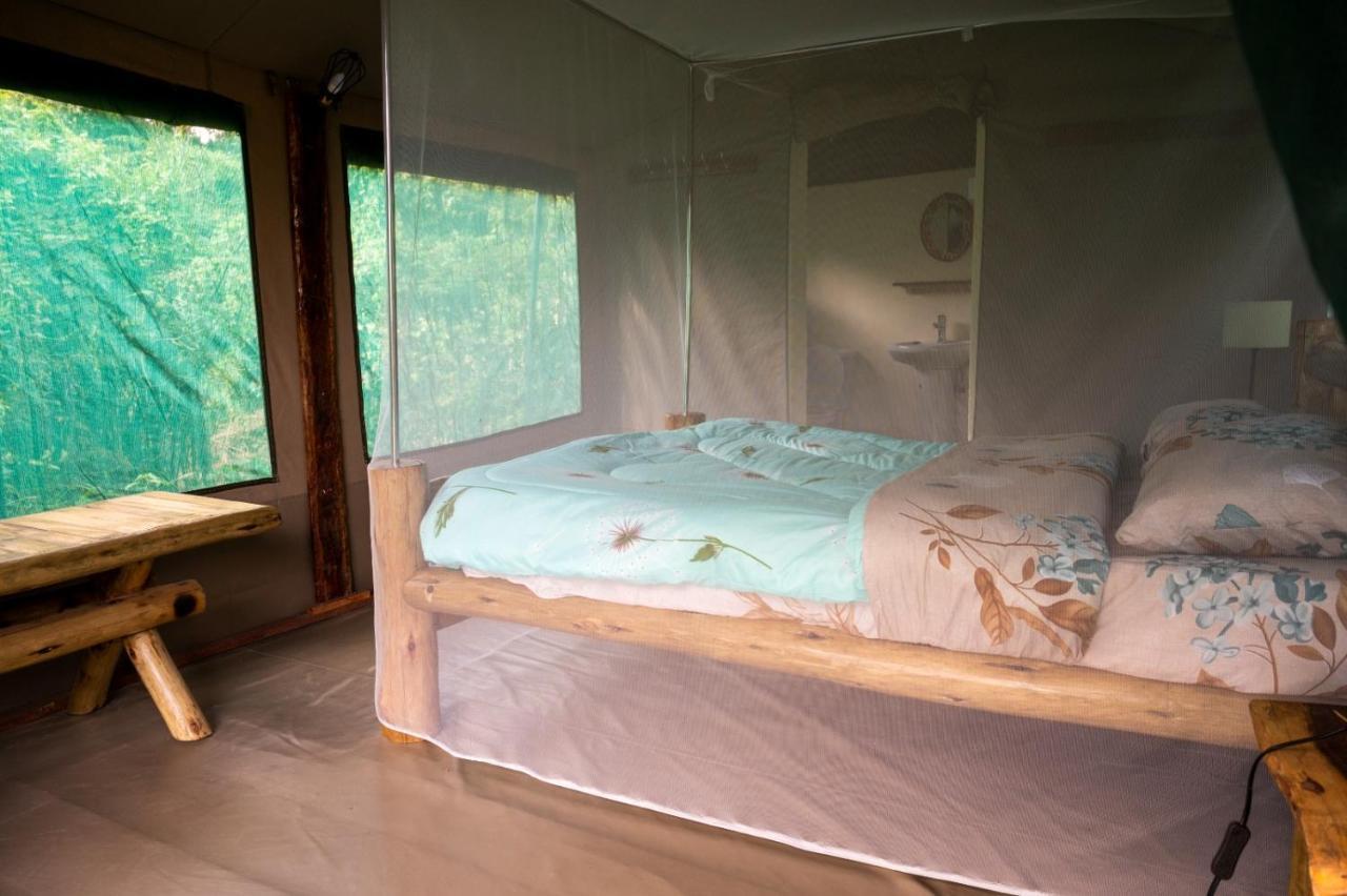 Greenwood Safari Camp Talek Екстер'єр фото